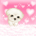 cun_yeu