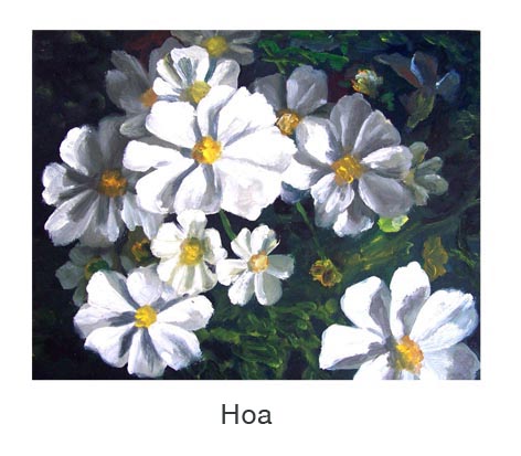Hoa