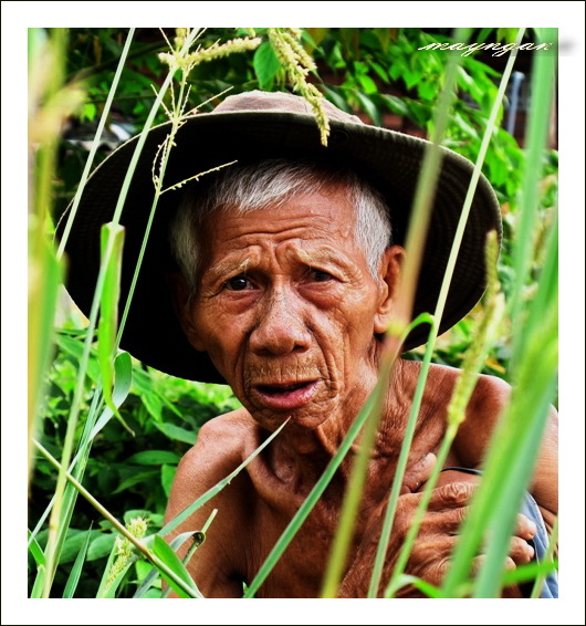 Tình đất