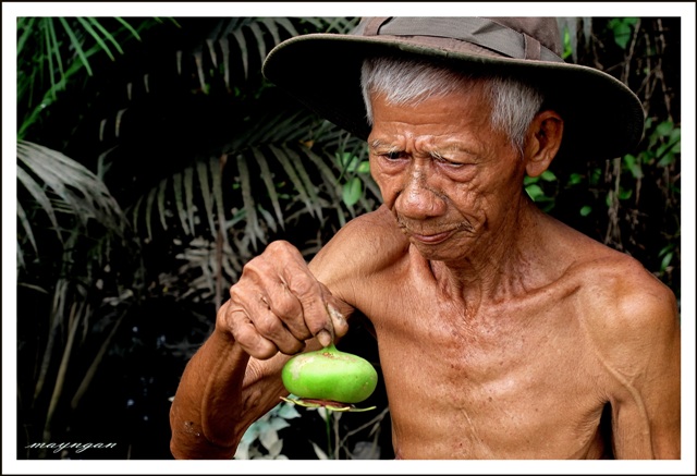 Lão Nông