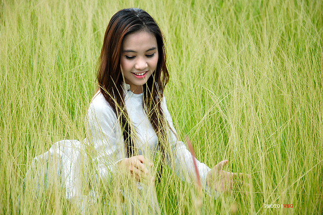 Hương đồng gió nội