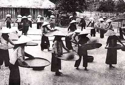 Sàng gạo - Phú thọ 1965