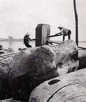 Xẻ gỗ trên bãi sông Hồng 1940