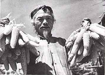 Lão Nông 1940