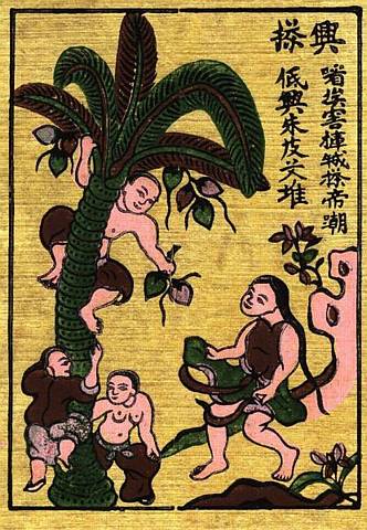 Cô gái hứng dừa