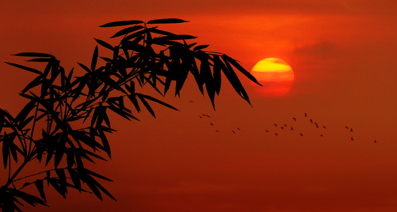 Chào Buổi Sáng
