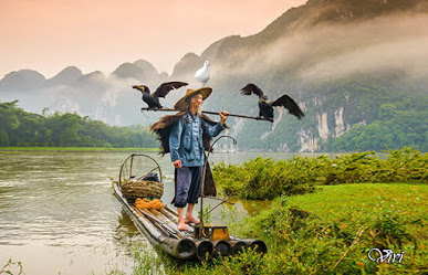 Rũ Bóng Thu Sầu