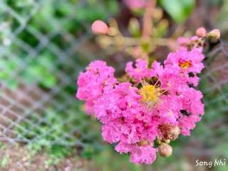 Sống Tốt Trời Sẽ An Bày