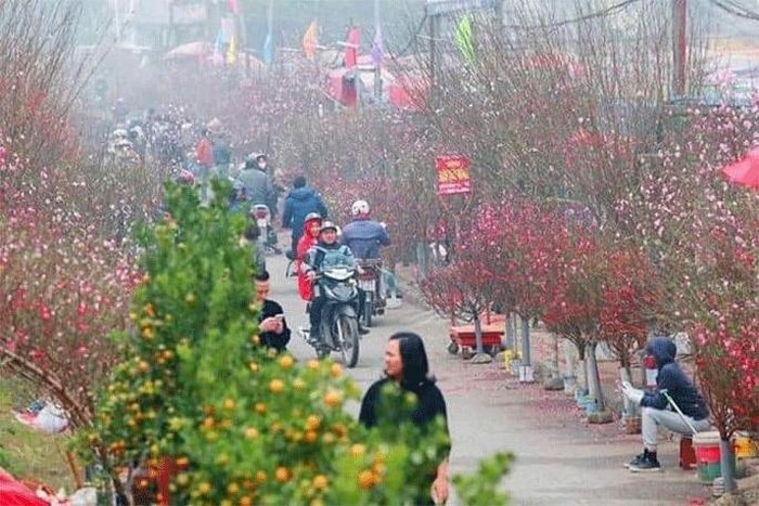 Hăm Tám Chờ Xuân