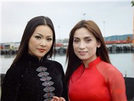 Giấc Mơ Cánh Cò