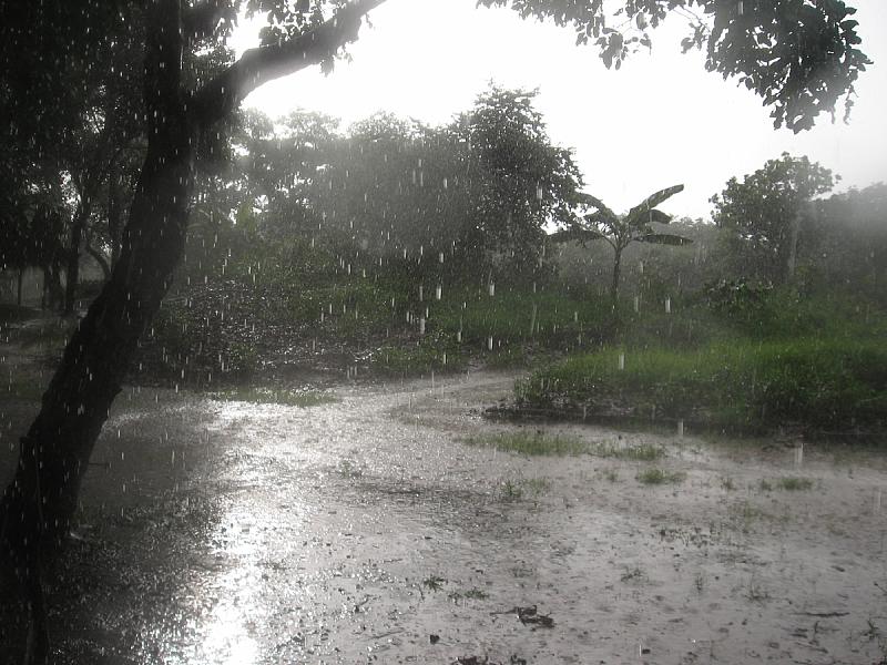 Mưa Ướt Nỗi Nhớ