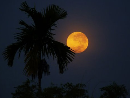 Còn Mãi Rong Chơi