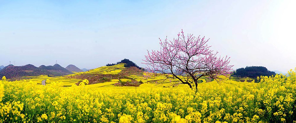 Xuân