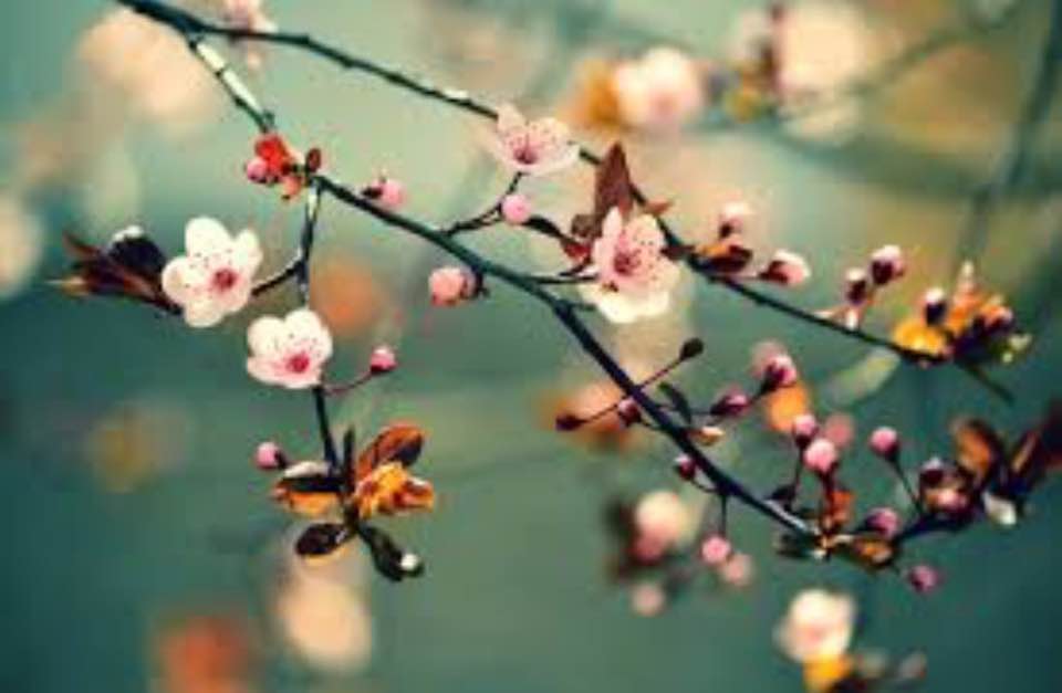 Ngày Cuối Năm