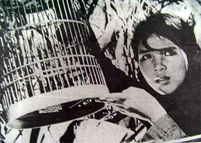 Con Chim Vành Khuyên