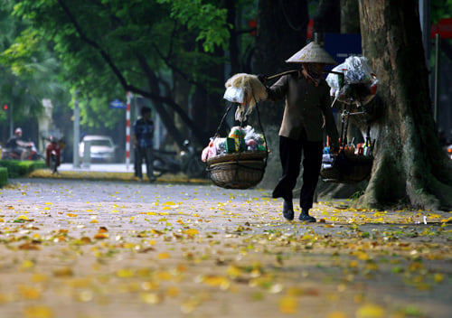 Gánh Hàng Rong