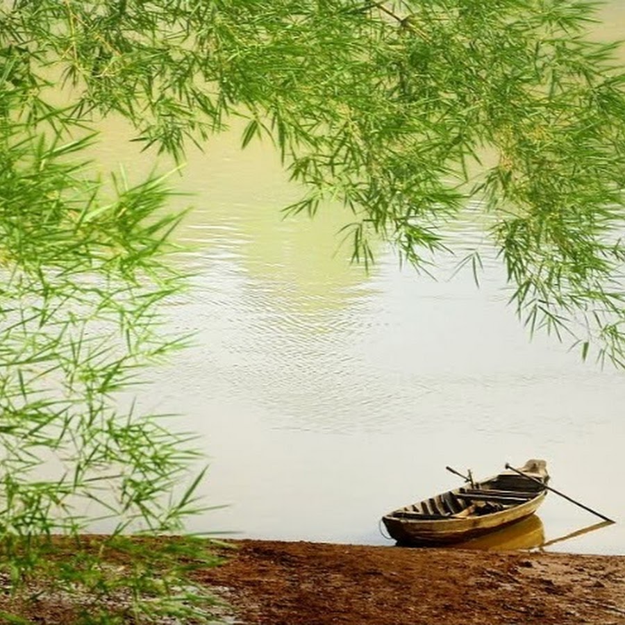 Ảnh bìa truyện