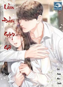 Lần Đầu Gặp Gỡ