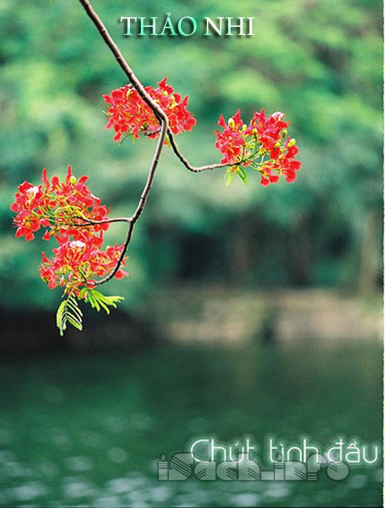 Chút Tình Đầu