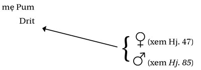 a9