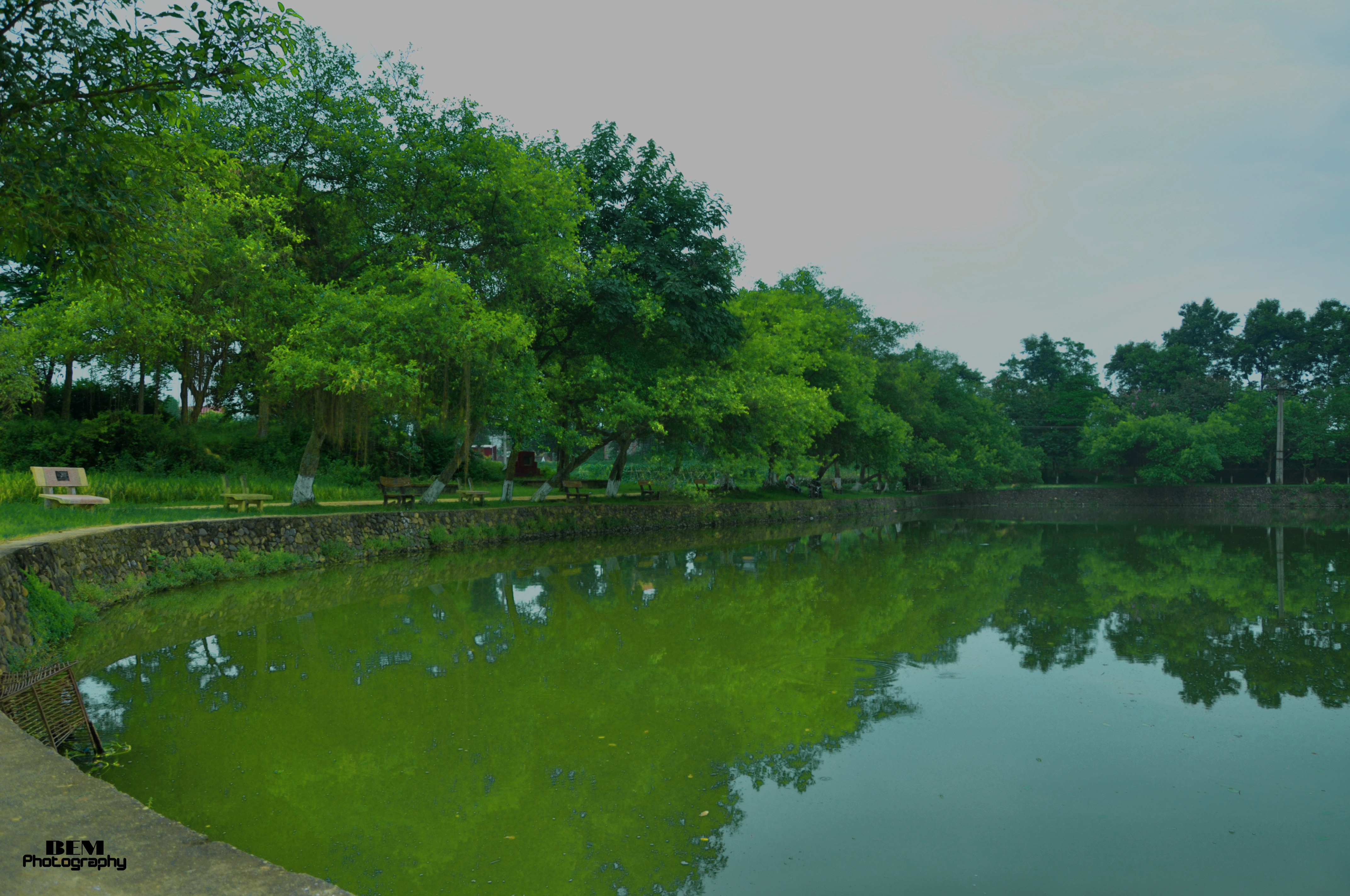 Ảnh nhạc sĩ