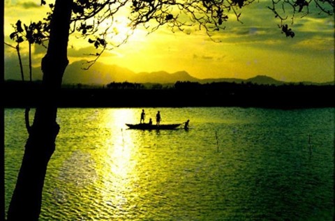 Chiều Trà Giang