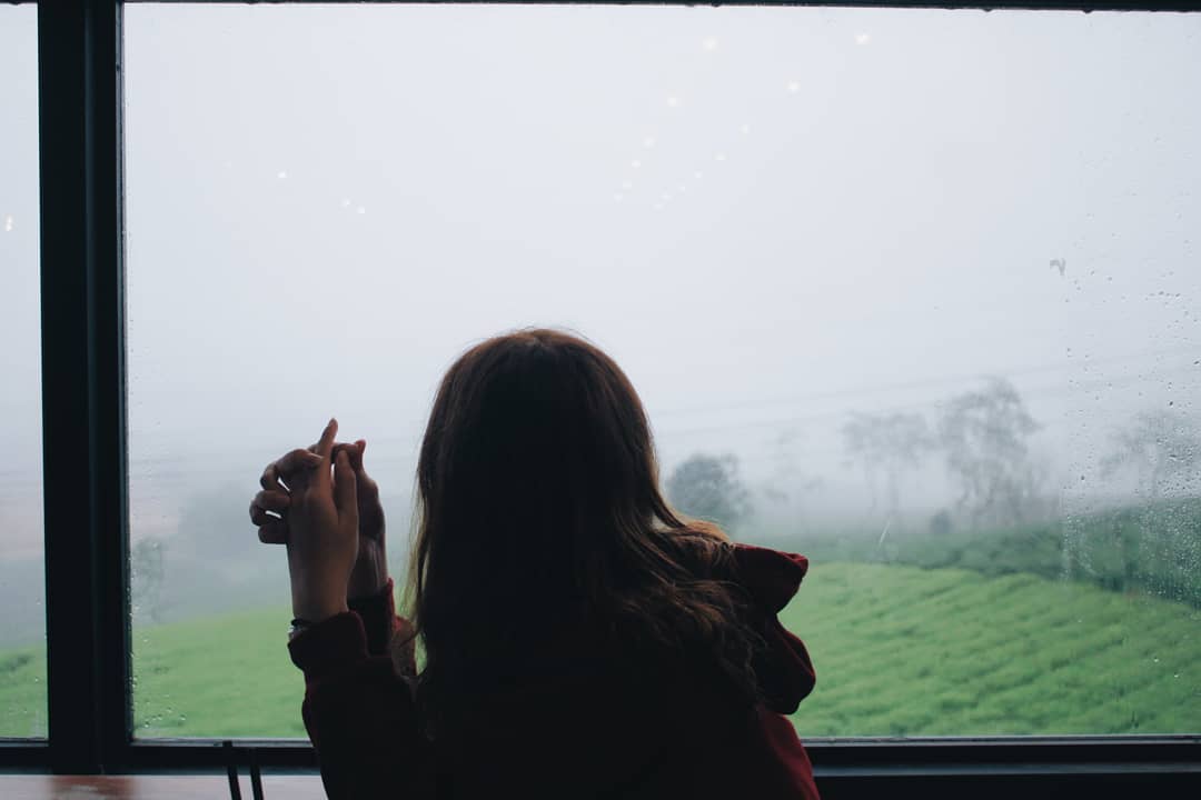Buổi Chiều Mưa 