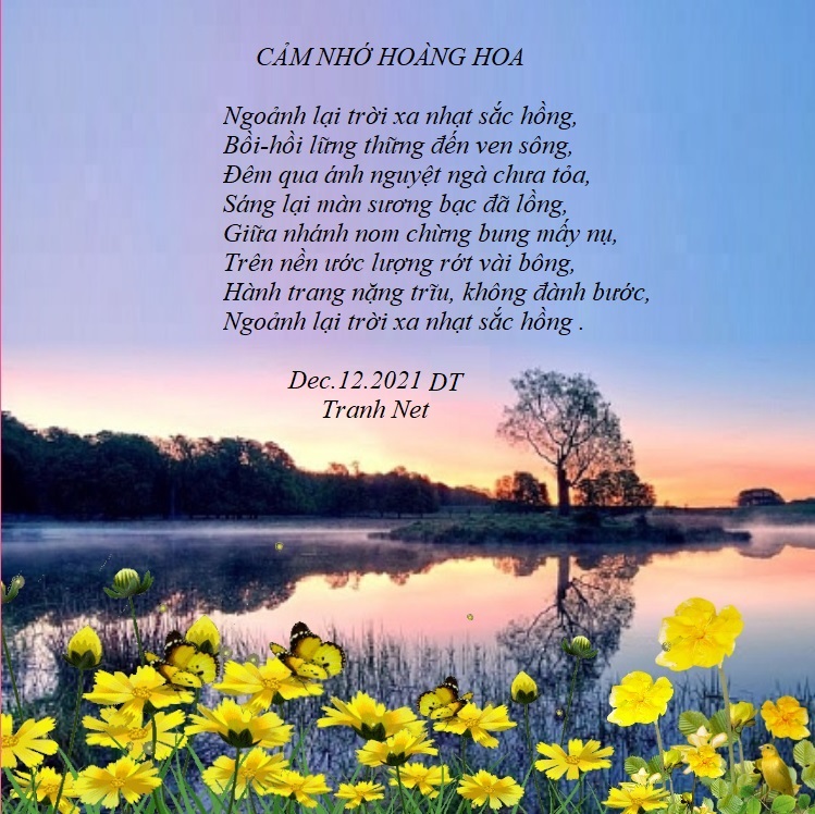 Cảm Nhớ Hoàng Hoa