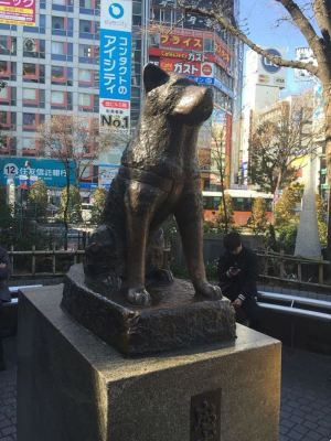 Chú Chó Hachiko