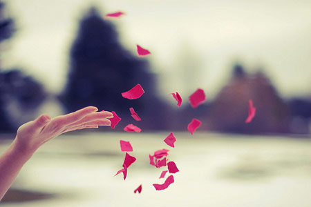 Đường Hoa Úa Tàn