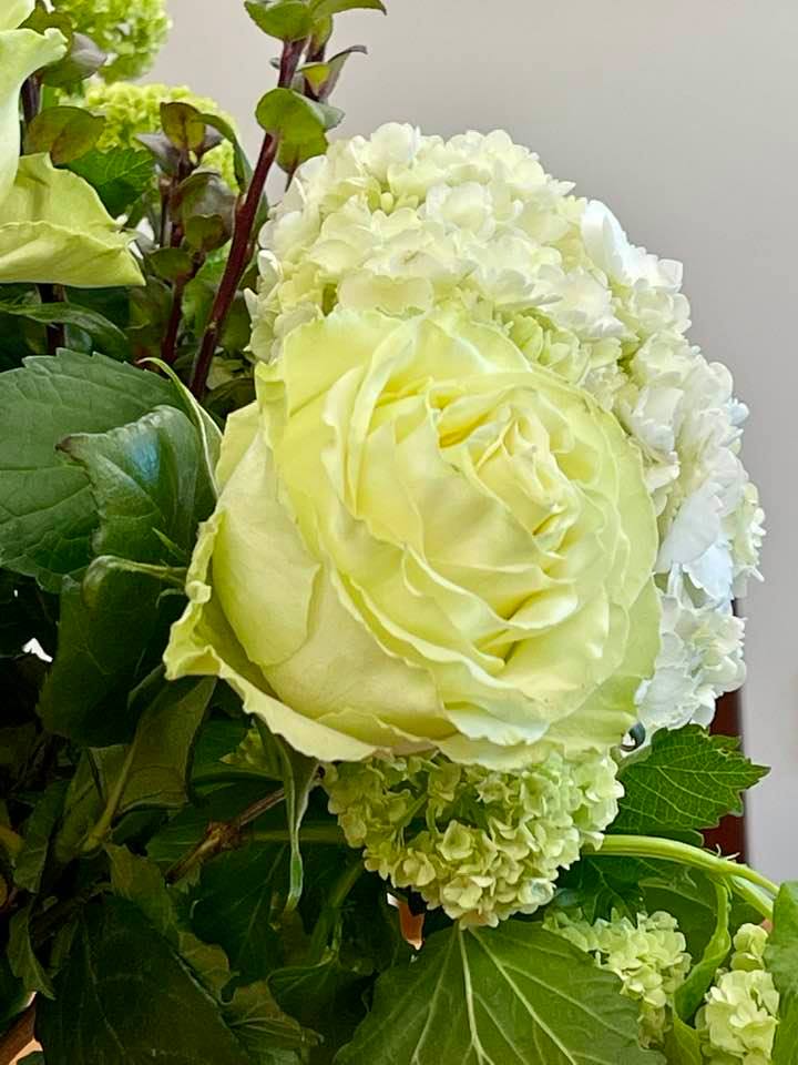 Vinh Danh Ngày Mẹ