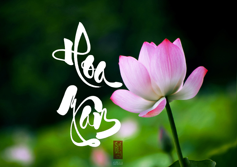 Xuân Về Một Thoáng
