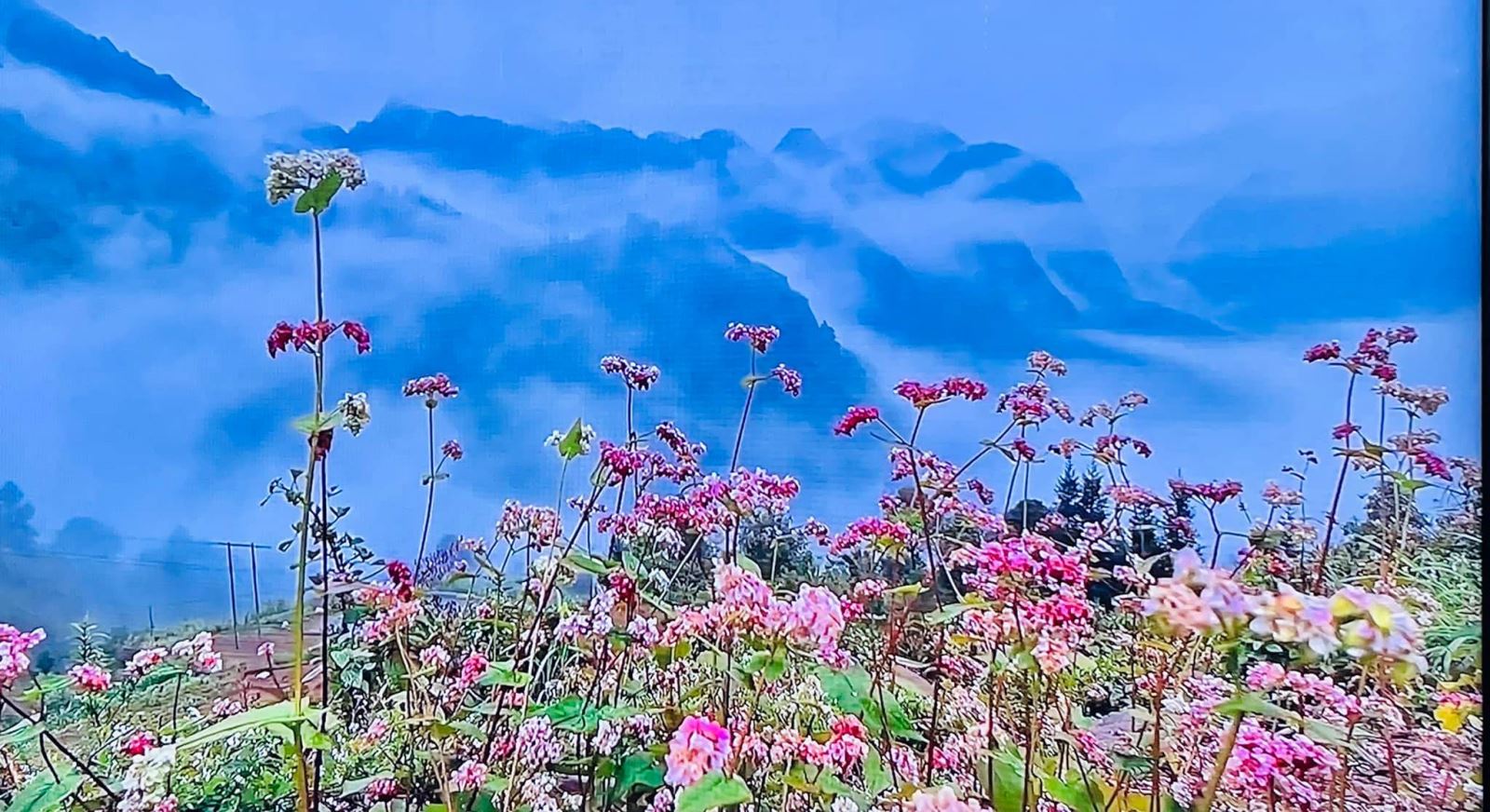 Giao Mùa Trên Quê Hương Tôi