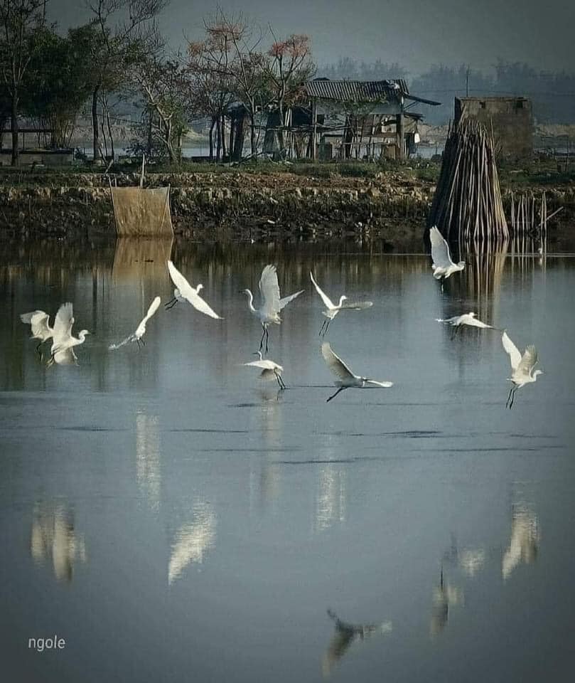  Làng Quê Tôi 