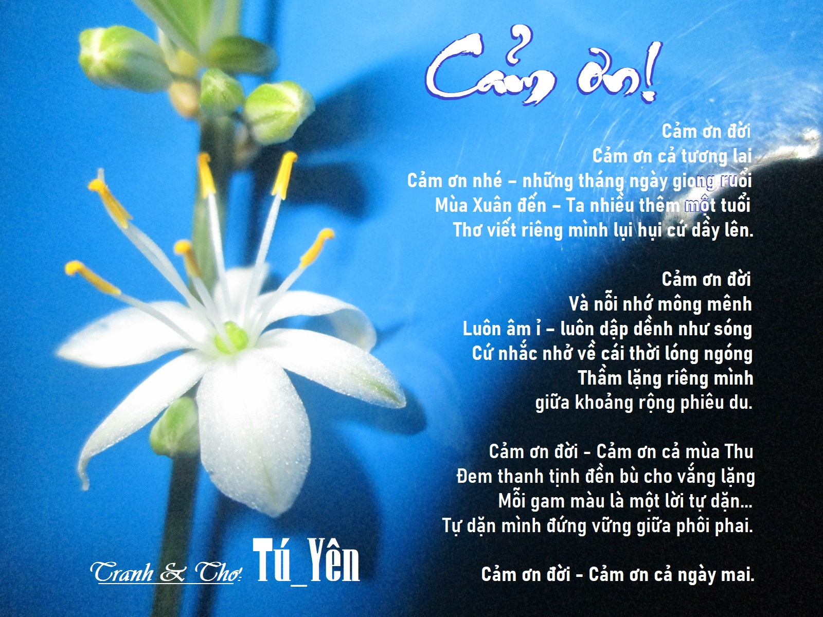Cảm Ơn