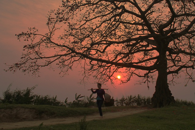 Tháng Ba Của Mẹ