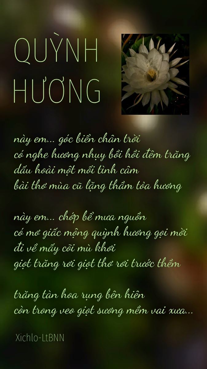 Quỳnh Hương 