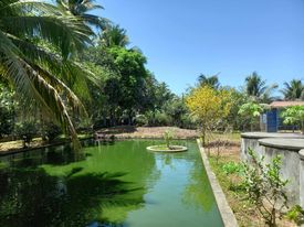 Màu Nắng Cuối Năm