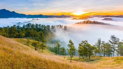 Cưới Chiều Thu Đà Lạt