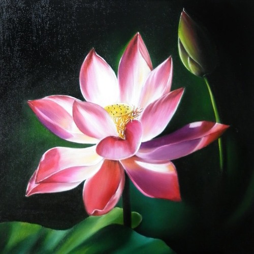 Ta Tìm Gì Ở Nhân Gian