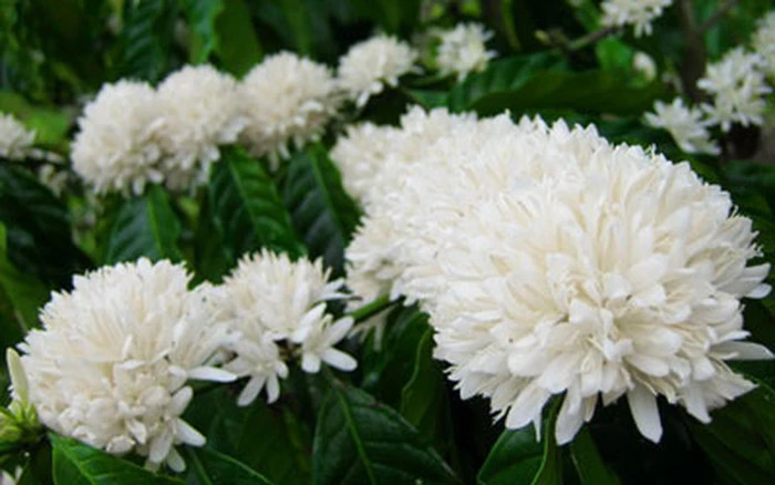 Tháng Tư