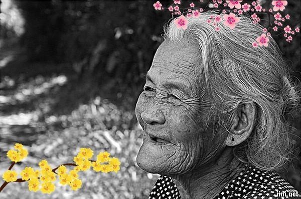 Tết Này Vắng Mẹ