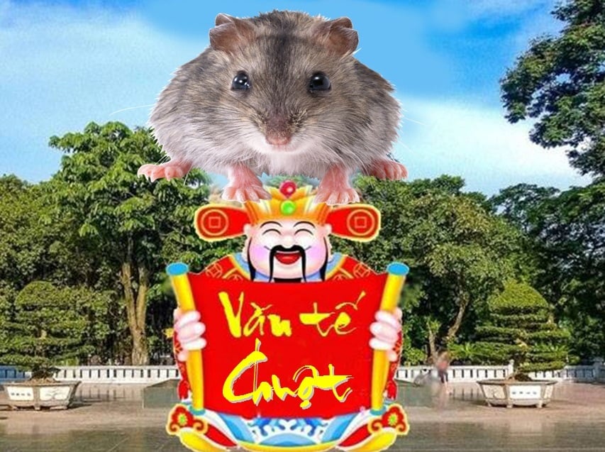 Văn Tế Chuột.