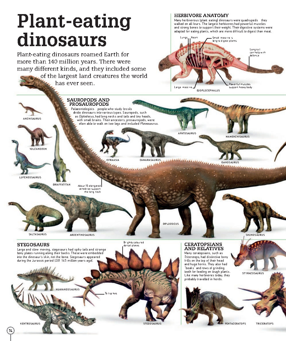 Picturepedia An Encyclopedia on Every Page